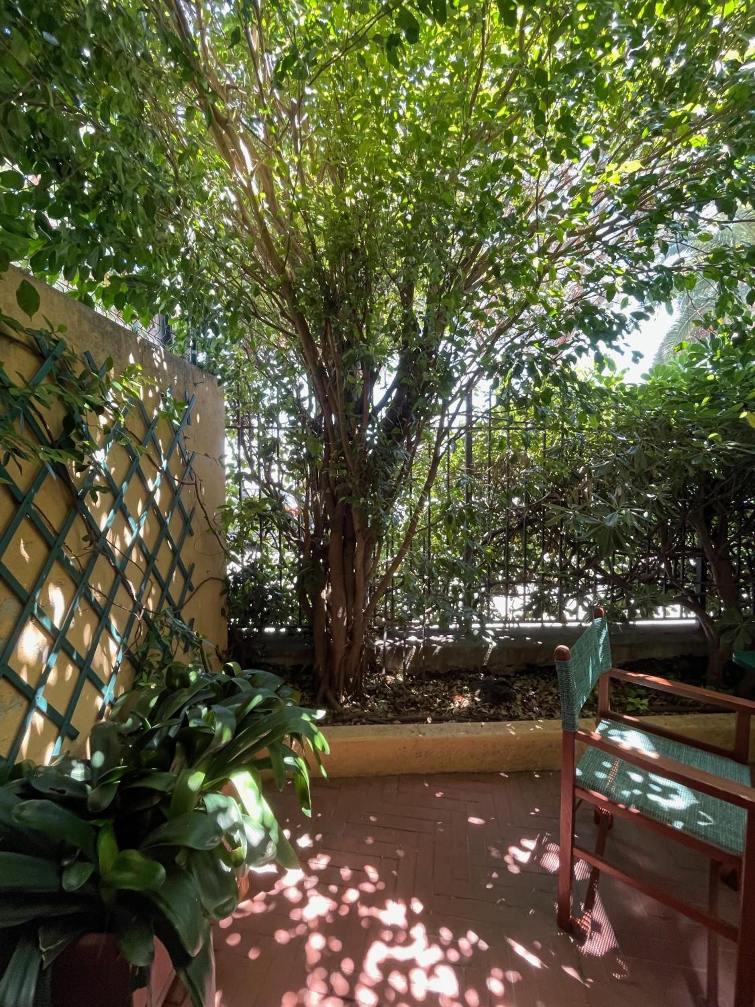 Hotel Beau Rivage Alassio Dış mekan fotoğraf